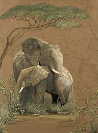 Mother Africa Elephants