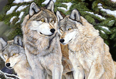 Carring-Wolf Family