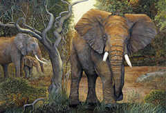 The Protector-elephants