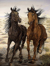 Running Wild-mustangs (horses)