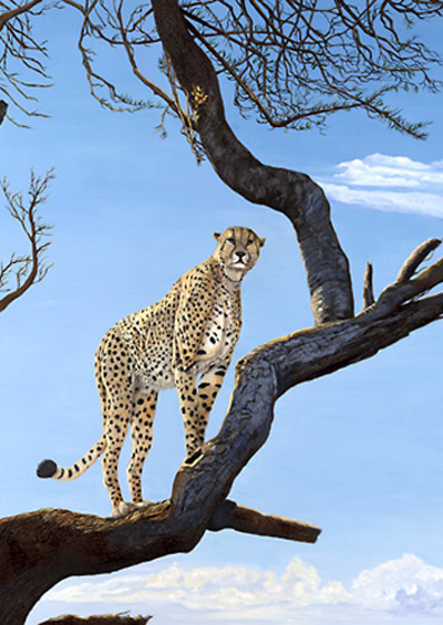 On Guard-cheetah