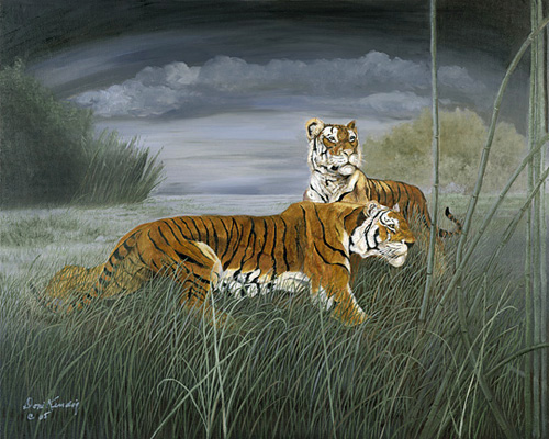 Night Hunt-Tigers