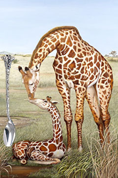 Mother's Touch-Giraffes, fine art print on canvas with Silver giraffe feeding spoon