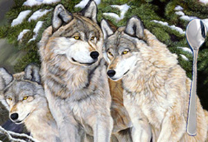 Caaring-Wolf Family