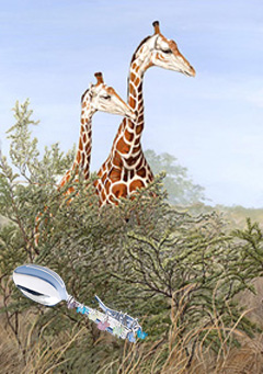 Look-Tourists-giraffess, fine art print, with Jillery bent handled spoon