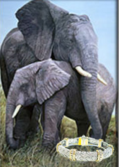 Mother Love - elephants