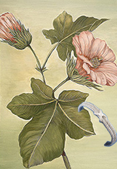 Mallow, fine art Print on Cavas, with rhodim Mesh Bracelet