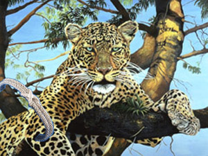 Daytime Hangout-leopard, fine art print on canvas, with Rhodium Cuff Bracelet