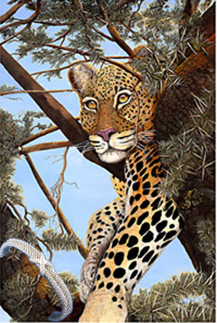 Heads Up! Leopard, fine art print, with Rhodium Cuff Bracelet