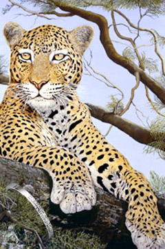 The Sentinel-Leopard, fine art print on canvas, with Bangle with CZs