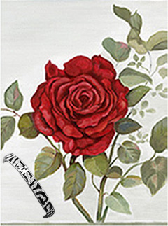 Red Rose, Art Print, with Bangle Bracelet