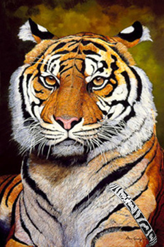 The Sultan, Sumatran Tiger, fine art print, with CZ and Black Enamel Bracelet