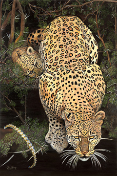 Caution! Baby on Board- Leopard, fine art print,  with CZ and Gold Tennis Bracelet