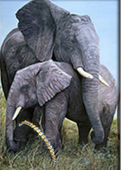 Mother Love=Elephant, fine art print, with Round CZ and Gold Tennis Bracelet