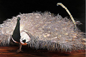 Bronze Lace Peacock, art print, canvas, wth Gold and CZLINKS BRACELET
