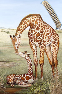 Mother's Touch-giraffes, art print, with 5 Strand Gold Bead Bracelet