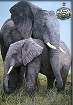Mother Love-Elephants, fine art print, with Gold and Silver Pendant