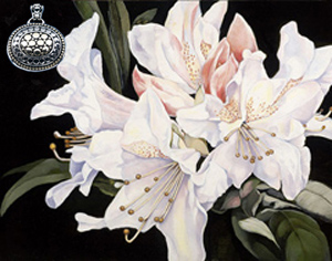 white Rhododendrun, fine art print, with gold and silver Pendant