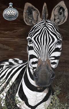 Up close, Personal-Zebra, fine art print, with Gold and Silver Pendant
