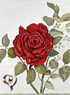 Red Rose-Flower