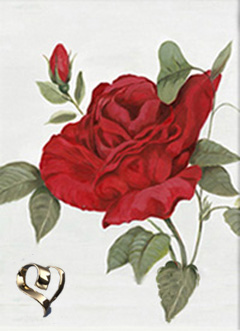 Red Rose II-Flower
