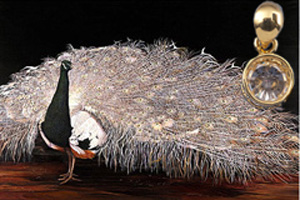 Bronze Lace-Peacock Fine Art Print on Canvas with with gold vermeil caged multi karat Cubic Zirconium Pendannt