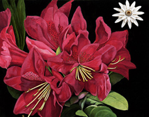 Red Rhododendrun-Flowers Fine Art Print on Canvas with White Porcelain Enamel Chrysanthemum Pin/pendant